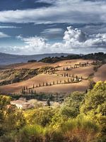 Zypressenweg mit Toskana Landschaft in Italien.