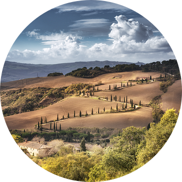 Cipressenroute met Toscane in Italië. van Voss Fine Art Fotografie