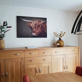 Kundenfoto: Schottischer Highlander Porträt: Nahaufnahme Kopf in braun von Marjolein van Middelkoop, als artframe