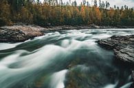 Fließender norwegischer Fluss mit Herbstfarben von Colin van Wijk Miniaturansicht