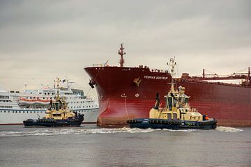 Sleepboten en Hands on Deck op het Noordzeekanaal van scheepskijkerhavenfotografie