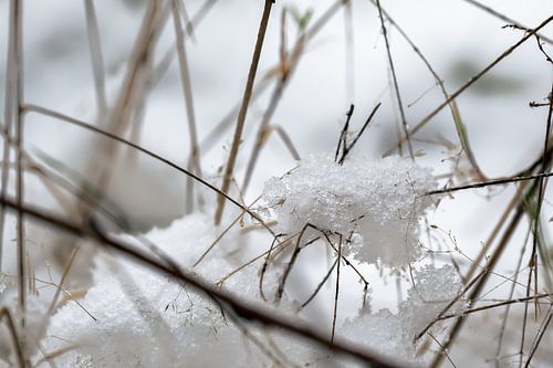 Sneeuw detail van Hans Hebbink