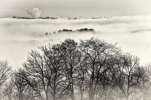 Nebel in den Hügeln