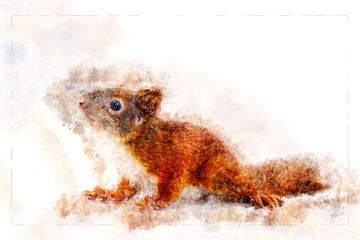 Eichhörnchen von Theodor Decker