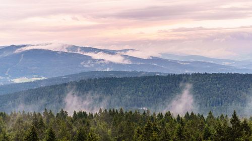 Bayrischer Wald nach einem starken Regen.