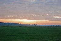 smorgens vroeg boven ter idzard