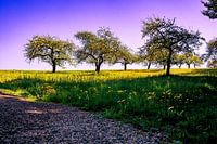 Swabian Toscany