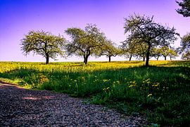 Toscane Souabe sur Photoart-Naegele