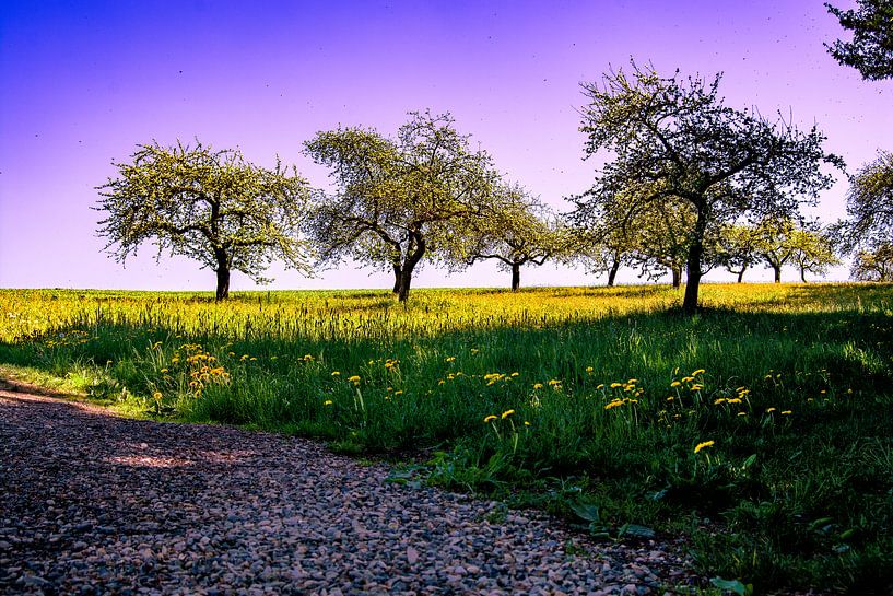 Swabian Toscany by Photoart-Naegele