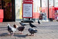 Drukte voor de winkel