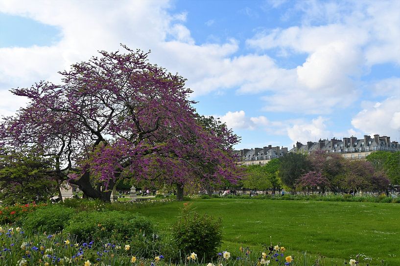 Paris, Jardin des Tuileries by Frank Ubachs fotografie