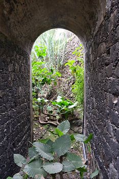 De poort naar een andere wereld