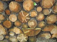 Holzschnitt