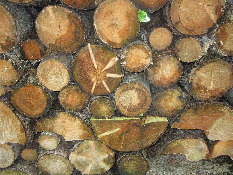 Holzschnitt von Georg Link