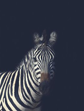 Dark Zebra by Designer