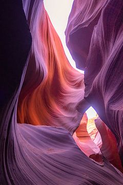 Orange ist das neue Schwarz (Antelope Canyon) von Kris Hermans