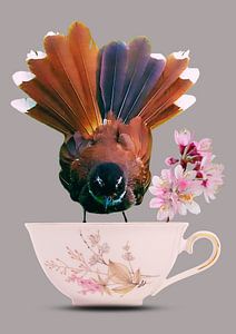 Fantail on a cup
