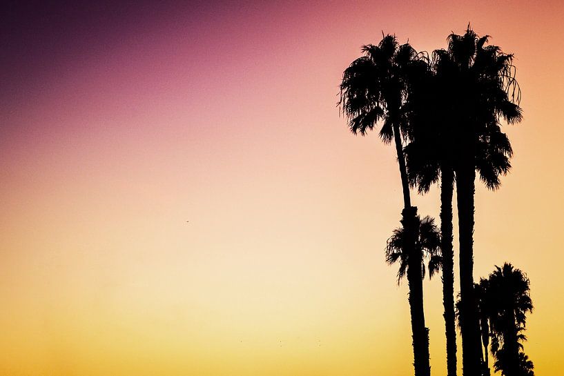 Sunset Dream II by Walljar