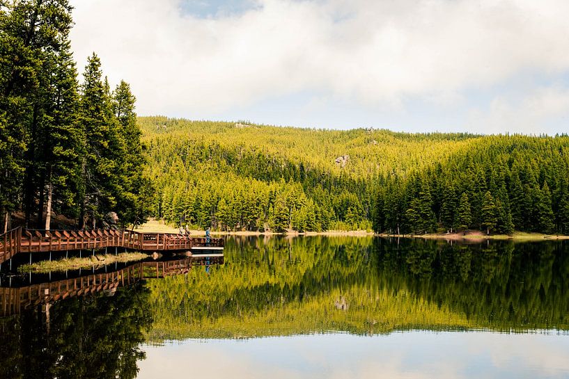 Montagnes Bighorn - Wyoming USA par Irmgard Averesch