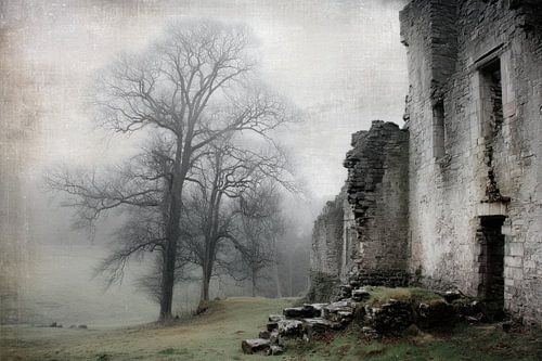 Mistige Ruïne in Boslandschap