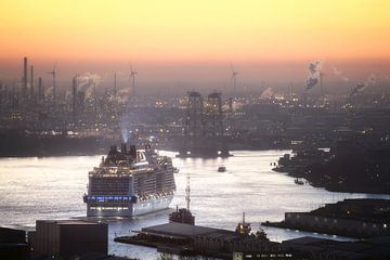 Ontdek de schoonheid van Rotterdam in één foto