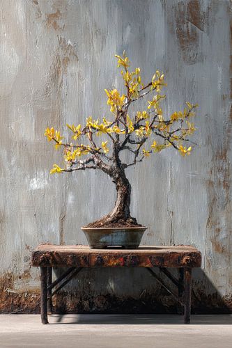 Stilleven Bonsai met gele bloesem tegen betonnen muur verf