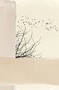 Abstract Tree and Birds - Japani Wabi Sabi Digital Wall Art | Minimalist Printable Decoration by Rozy art thumbnail