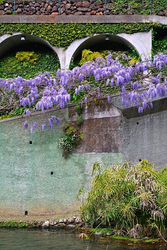 D'une certaine façon, c'est beau