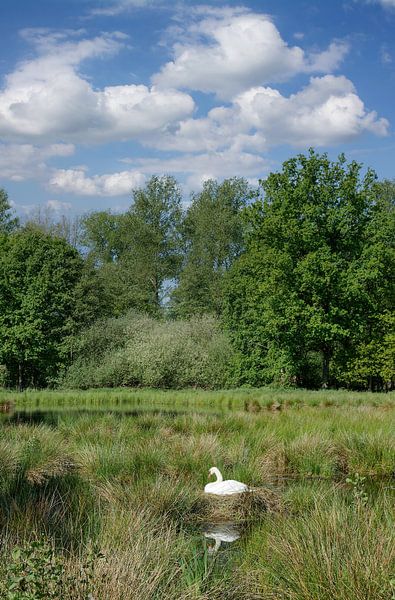 Idyll im Schwalm-Nette Naturpark von Peter Eckert