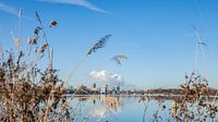 Rotterdamer Skyline am Kralingse Plas von Mirjam Verbeek Miniaturansicht