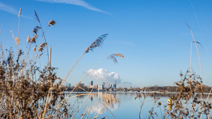 Rotterdamer Skyline am Kralingse Plas von Mirjam Verbeek