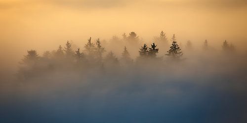 Entre brouillard et lumière sur Judith Kuhn