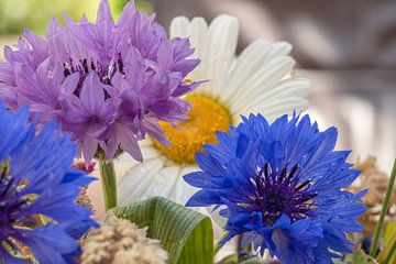 Kornblumen und Gänseblümchen von Jolanda de Jong-Jansen