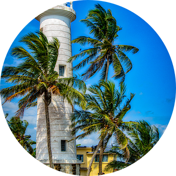 Vuurtoren in Galle Sri Lanka met palmbomen van Dieter Walther