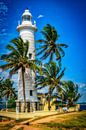 Lighthouse in Galle Sri Lanka with palm trees by Dieter Walther thumbnail