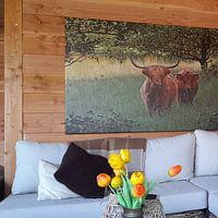 Klantfoto: drentse hooglanders van Yvonne Blokland, op canvas