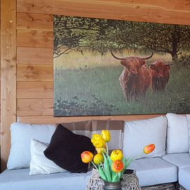 Klantfoto: drentse hooglanders van Yvonne Blokland, op canvas