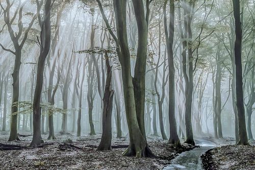 La lumière dans l'obscurité