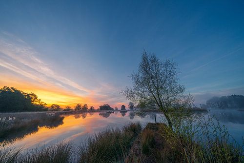 The sun announces itself above a pool on the Dwingelderveld by Coen Weesjes