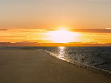 Sunset on the beach at the North Sea by Animaflora PicsStock