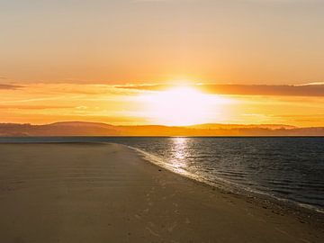 Zonsondergang op het strand aan de Noordzee van Animaflora PicsStock