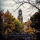 De Dom van Utrecht met de Bakkerbrug op de voorgrond (kleur) van André Blom Fotografie Utrecht thumbnail