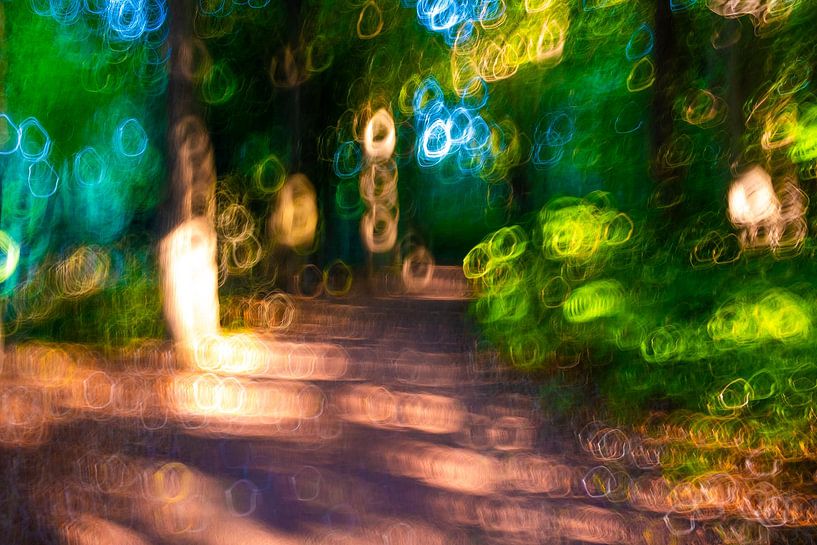 Gemaltes Licht im Wald von Helene van Rijn