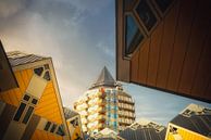 Le Blaaktoren entre des maisons cubiques à Rotterdam, Pays-Bas. par Bart Ros Aperçu