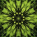 Green glowing mandala by Sabine Wagner thumbnail