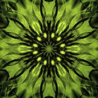 Lichtgevende groene mandala