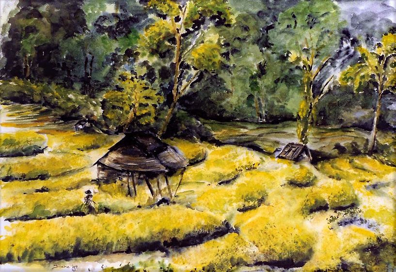 Rijstvelden in Thailand. Handgeschilderde aquarel van Ineke de Rijk