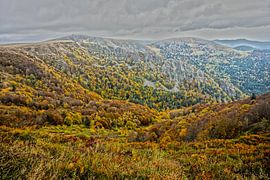 Les Vosges aux couleurs de l'automne