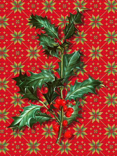 and Xmas it is von Marja van den Hurk