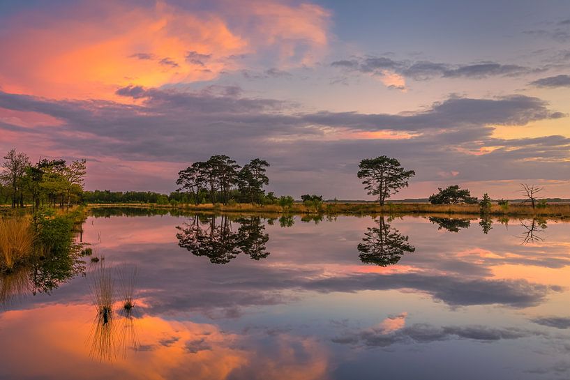 Coucher de soleil à Holtveen dans le parc national Dwingelderveld par Henk Meijer Photography